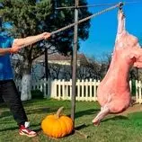 ببینید| غذای روستایی در آذربایجان؛ پخت گوشت بره در دل کدو تنبل و در روستا