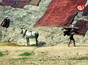 عکس| سفر زمان؛ خشک کردن قالی‌ها روی کوه در شهرری؛ 75 سال قبل