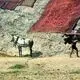 عکس| سفر زمان؛ خشک کردن قالی‌ها روی کوه در شهرری؛ 75 سال قبل