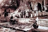 تصاویر؛ سفر در زمان؛ چنارعباسعلی؛ درختی کهنسال در تهران قدیم که به دستور ناصرالدین‌شاه پناهگاهی مقدس برای زنان دربار شد