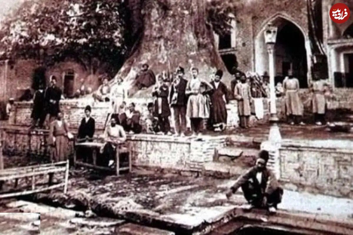 تصاویر؛ سفر در زمان؛ چنارعباسعلی؛ درختی کهنسال در تهران قدیم که به دستور ناصرالدین‌شاه پناهگاهی مقدس برای زنان دربار شد