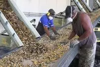 ببینید| مراحل دیدنی بازیافت میلیون ها پوکه فشنگ و استفاده از آنها برای تولید مهمات جدید در امریکا