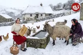 ببینید| غذای روستایی در ایران؛ پخت نیمرو برای صبحانه در روستایی برفی در کوهستان