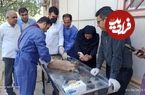 شکار «کاراکال» کمیاب در بویراحمد؛ تلاش برای نجات حیوان زخمی