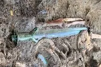 تحقیقات تازه دربارۀ شمشیری که بعد از 3400 سال «تیز و درخشان» باقی مانده است