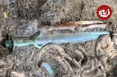 تحقیقات تازه دربارۀ شمشیری که بعد از 3400 سال «تیز و درخشان» باقی مانده است