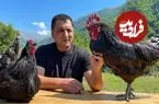 ببینید| غذای روستایی در آذربایجان؛ پخت یک غذای سنتی با مرغ