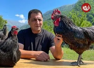 ببینید| غذای روستایی در آذربایجان؛ پخت یک غذای سنتی با مرغ