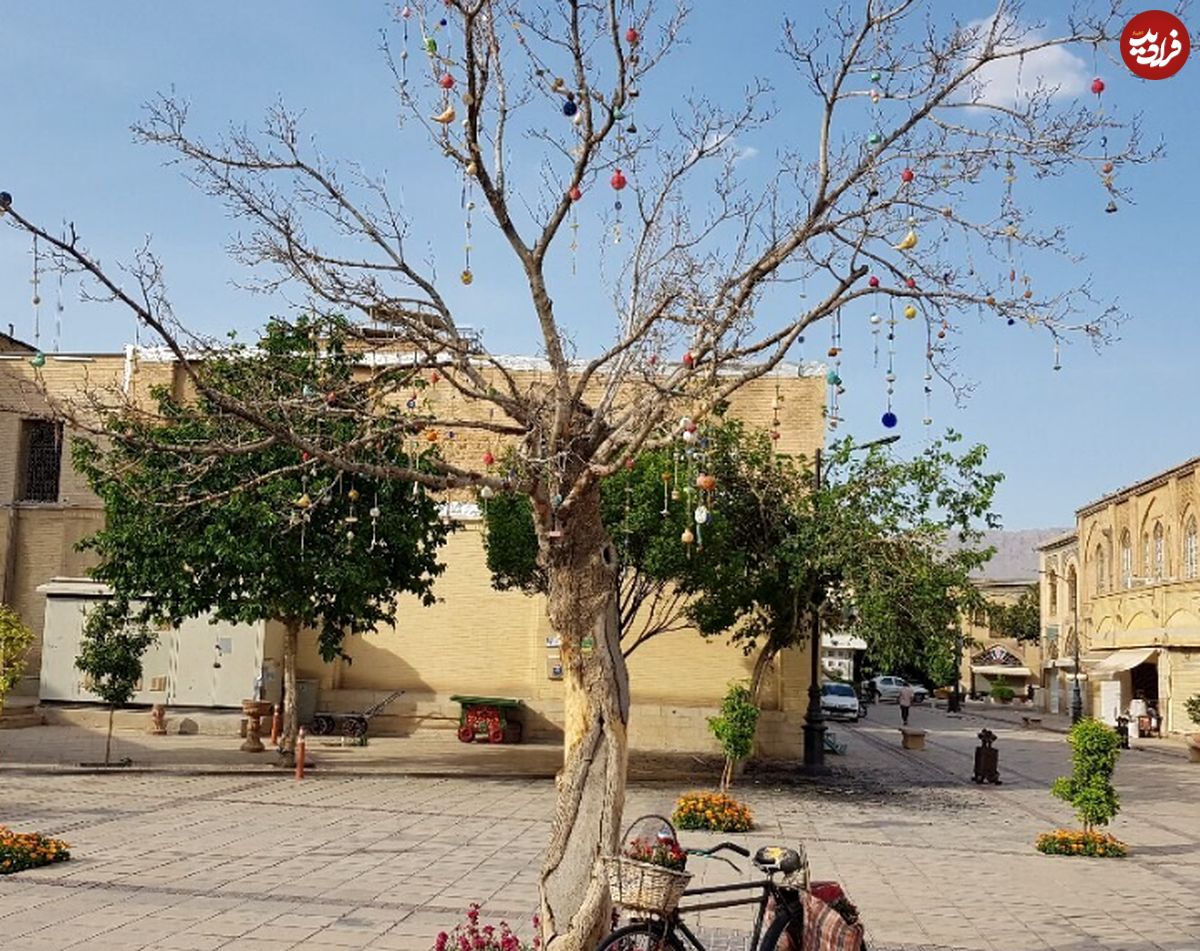 ( عکس) قطع درخت ارزشمندی که دلخوشی ایرانی‌ها بود!