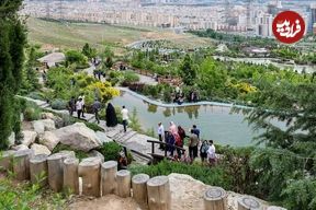 پارک جنگلی لتمال تهران کجاست؟؛ لذت کوهپیمایی در ارتفاع ۱۸۰۰‌متری