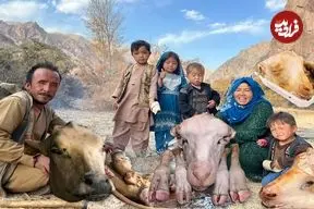 ببینید| غذای روستایی در افغانستان؛ طبخ کله پاچه در کوهستان
