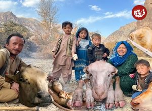 ببینید| غذای روستایی در افغانستان؛ طبخ کله پاچه در کوهستان