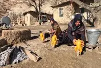 (ویدئو) کباب کردن تماشایی مرغ زیر سطل های فلزی توسط کدبانوی روستایی بختیاری