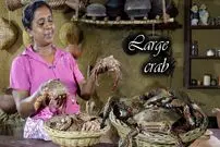 ببینید| غذای روستایی در سریلانکا؛ پخت دو غذای سنتی با خرچنگ و شکوفه موز