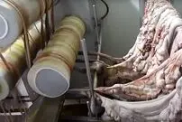 (ویدئو) نحوه تولید سوسیس و کالباس در کارخانه های مشهور