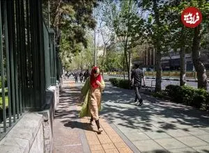 عکس| سفر زمان؛ منظرۀ «خیابان انقلاب» در حدود 80 سال قبل