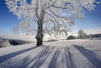 پیش‌بینی آب و هوای ایران یکشنبه ۱۹ بهمن / سراسر ایران زمستانی می‌شود