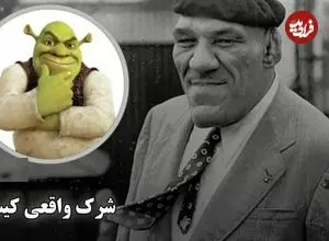 ببینید؛ شرک واقعی کیست؟ داستان فرشته فرانسوی که دنیا او را هیولا می‌دید