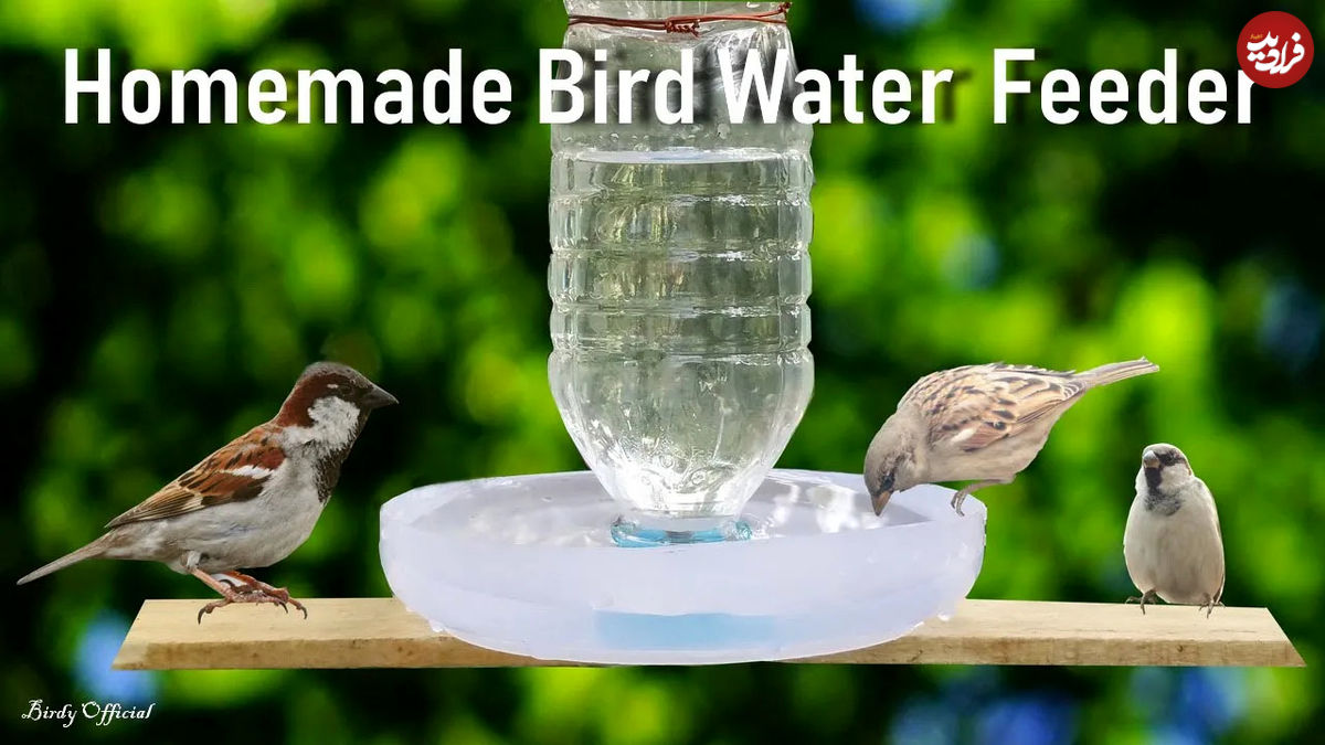 (ویدئو) نحوه ساخت یک دانخوری و آبخوری ساده برای پرندگان 
