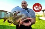 ببینید| غذای روستایی در روسیه؛ پخت ماهی بزرگ در تنور و در روستایی زیبا