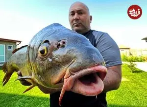 ببینید| غذای روستایی در روسیه؛ پخت ماهی بزرگ در تنور و در روستایی زیبا