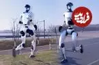 عکس| این ربات‌ها برای دویدن و نمردن ساخته شده‌اند! 