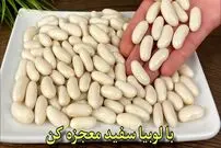 ببینید| طرز تهیه یک غذای گیاهی و ساده با لوبیا سفید