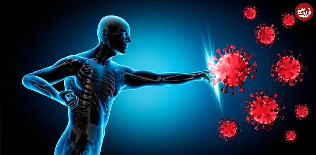 ۴ خوراکی جادویی برای تقویت سیستم ایمنی بدن