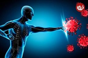 ۴ خوراکی جادویی برای تقویت سیستم ایمنی بدن
