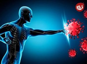 ۴ خوراکی جادویی برای تقویت سیستم ایمنی بدن