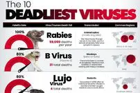اینفوگرافی| مرگبارترین ویروس‌های جهان بر اساس نرخ مرگ پس از ابتلا