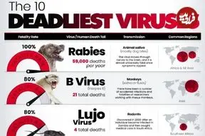 اینفوگرافی| مرگبارترین ویروس‌های جهان بر اساس نرخ مرگ پس از ابتلا
