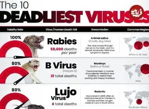 اینفوگرافی| مرگبارترین ویروس‌های جهان بر اساس نرخ مرگ پس از ابتلا