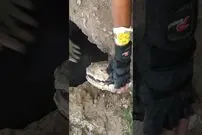 (ویدئو) لحظه کشف گردنبند طلای باستانی توسط یک شکارچی گنج