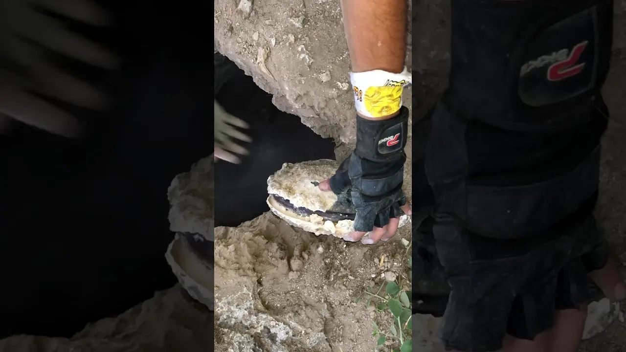 (ویدئو) لحظه کشف گردنبند طلای باستانی توسط یک شکارچی گنج