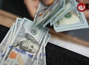 قیمت دلار امروز یکشنبه 26 مهر 1405؛ ریزش 2800 تومانی