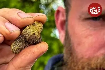 سنجاق سینۀ طلایی بعد از 1500 سال از زیر خاک بیرون آمد