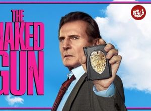 نقدها و نمرات فیلم The Naked Gun
