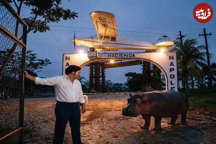 تصاویر| میراث مجلل و غیرمنتظره بزرگ ترین قاچاقچی تاریخ کلمبیا