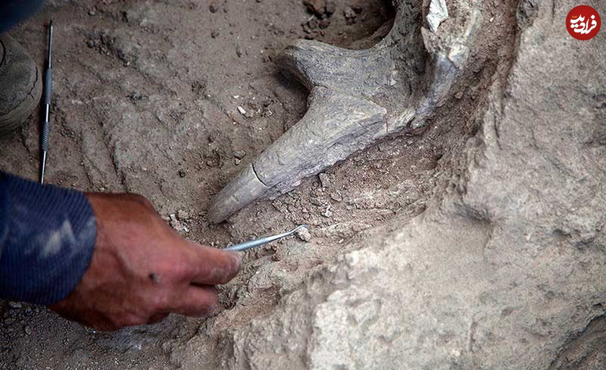 (تصاویر) کشف آثار باستانی با قدمت یازده هزار سال در کرمانشاه