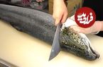 ببینید؛ غذای خیابانی در تایوان؛ برش زدن ماهی سالمون و تهیه ساشیمی و سوشی با آن در تایپه