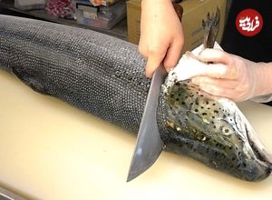 ببینید؛ غذای خیابانی در تایوان؛ برش زدن ماهی سالمون و تهیه ساشیمی و سوشی با آن در تایپه