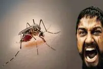 چرا نمی توانیم خیلی راحت پشه ها را از بین ببریم؟