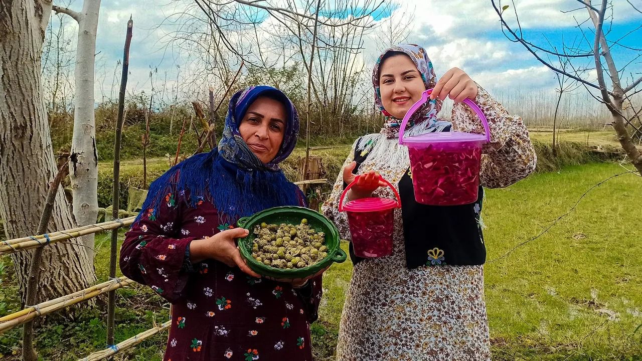 (ویدئو) روش جالب دو بانوی روستایی گیلانی در تهیه ترشی و زیتون پرورده