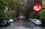 جدیدترین نقشه‌های هواشناسی برای این هفته