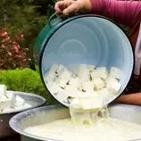 ببینید| غذای روستایی در آذربایجان؛ تهیه پنیر محلی با شیر تازه بز در روستایی زیبا