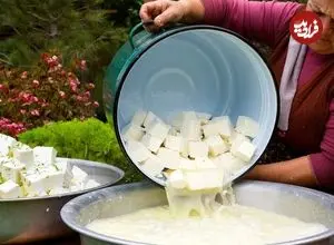 ببینید| غذای روستایی در آذربایجان؛ تهیه پنیر محلی با شیر تازه بز در روستایی زیبا