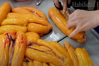 (ویدئو) فرآیند صید و فرآوری خاویار صدها تن ماهی کفال از نمای نزدیک