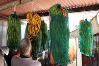 ببینید| غذای خیابانی در مالزی؛ تهیه یک غذای خاص با تارو و موز در پنانگ