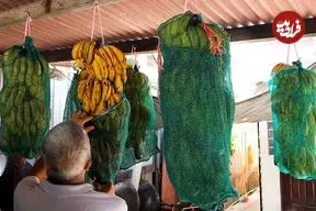 ببینید| غذای خیابانی در مالزی؛ تهیه یک غذای خاص با تارو و موز در پنانگ